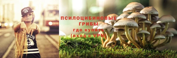 молекула духа Верхний Тагил