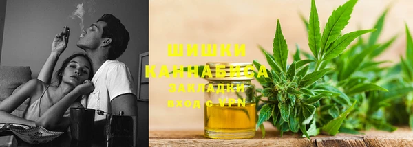 молекула духа Верхний Тагил