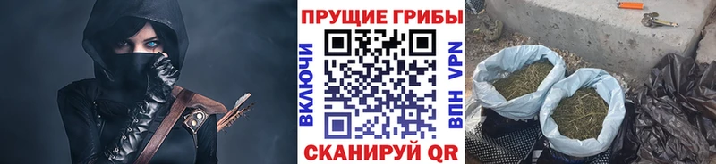 Галлюциногенные грибы Psilocybe Купить где Волгореченск